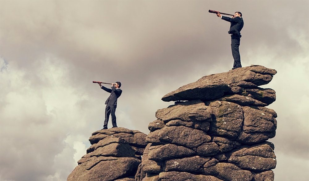 SEO Management